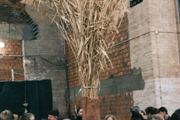 250312-DSC04011-1080w-2
