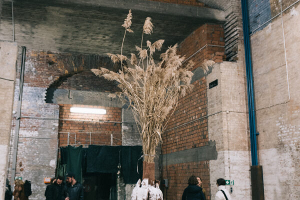 250312-DSC04030-1080w