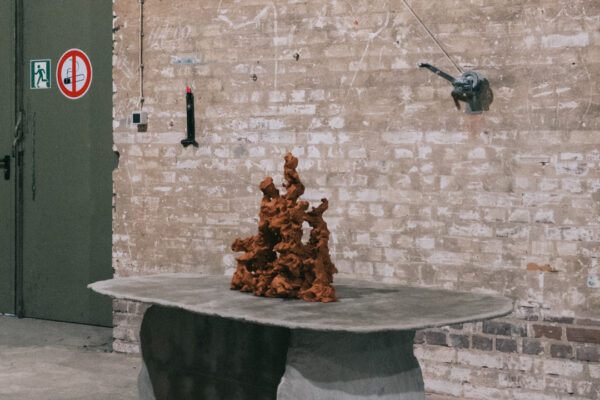 250313-DSC04246-1080w